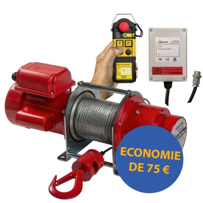 Treuil électrique triphasé 300 Kg + télécommande sans fil